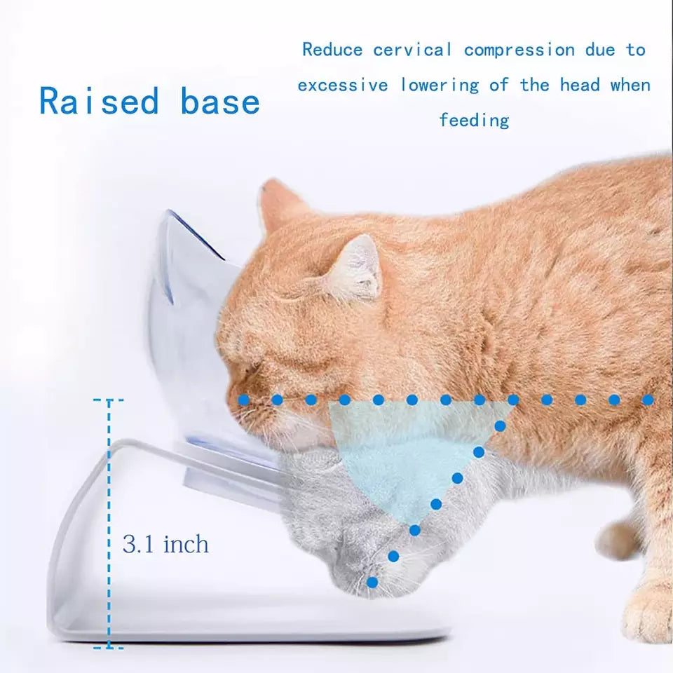 Double Cat Bowl with raised stand